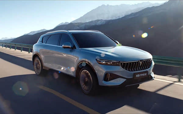 长城汽车的2025：加速调整，加速出海！